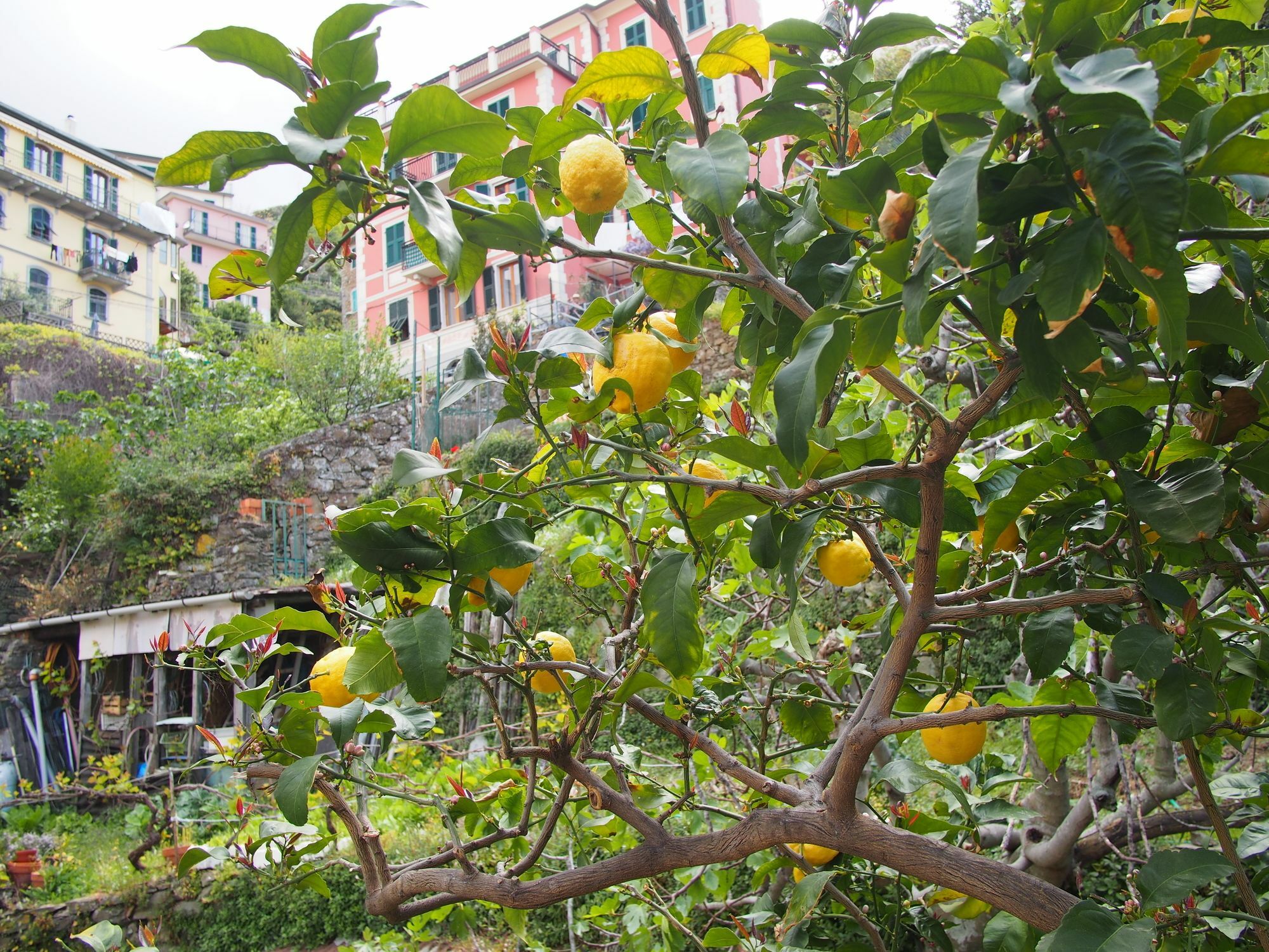 Hotel Ciao Bella Rainbow Riomaggiore Esterno foto
